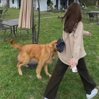诗人的爱